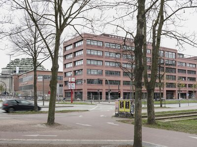 Paulihaus